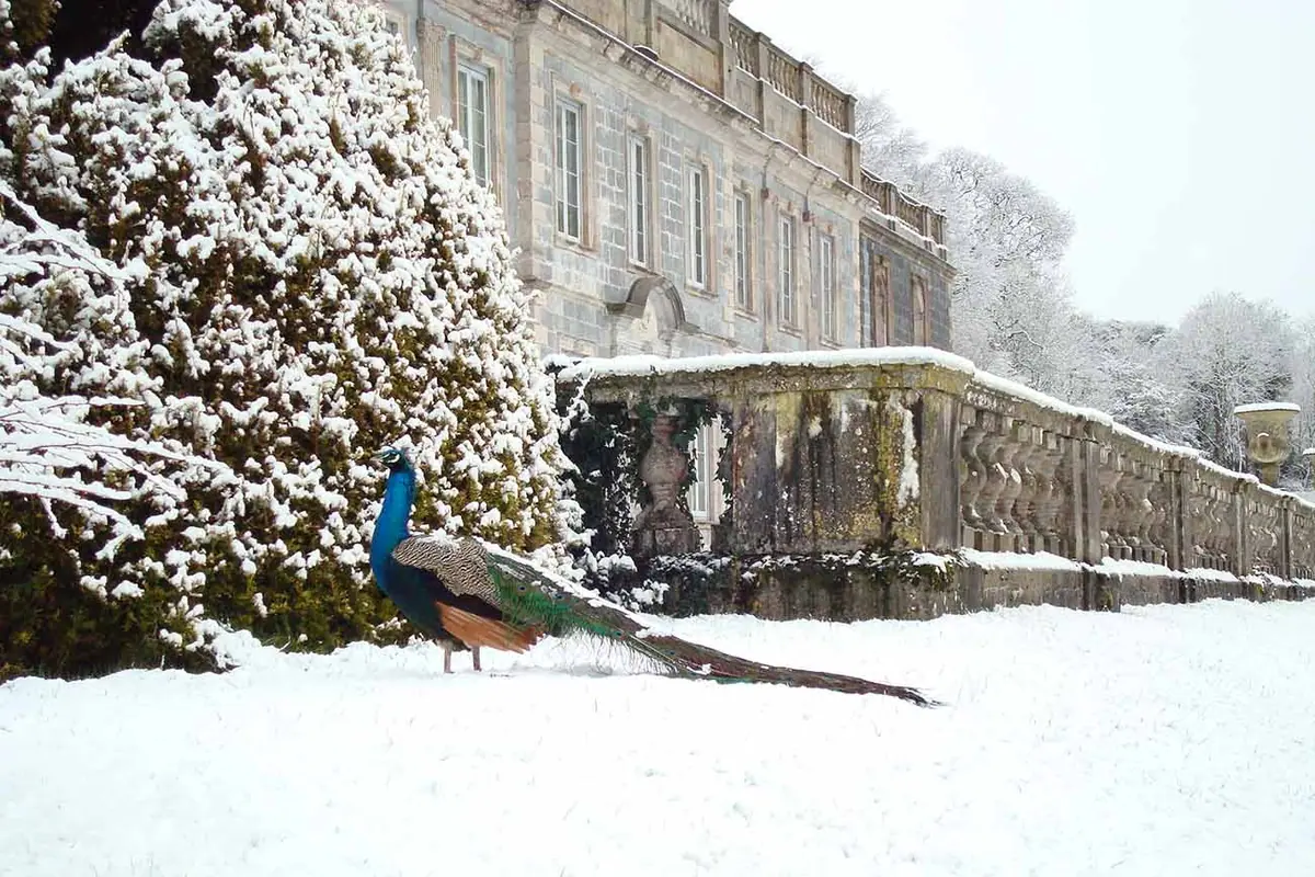 Gloster House, Brosna, Co. Offaly